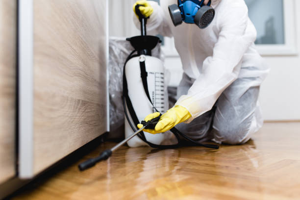 Best Emergency Pest Control  in Redwood City, CA