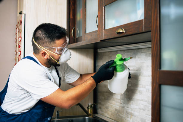 Flea Control Services in Redwood City, CA