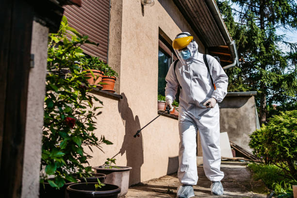 Best Bed Bug Extermination  in Redwood City, CA