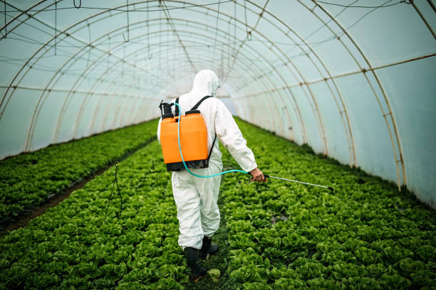 Reliable Redwood City, CA Pest Control Solutions