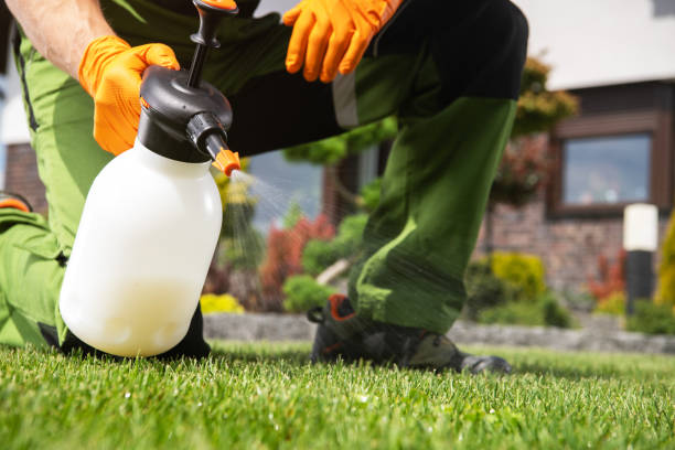 Pest Control for Restaurants in Redwood City, CA