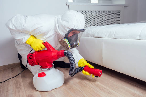 Best Affordable Pest Control Services  in Redwood City, CA