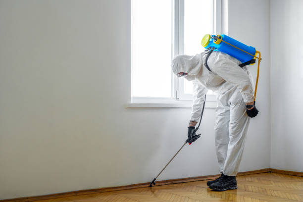  Redwood City, CA Pest Control Pros