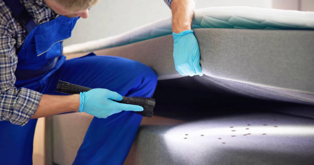 Best Termite Control Services  in Redwood City, CA