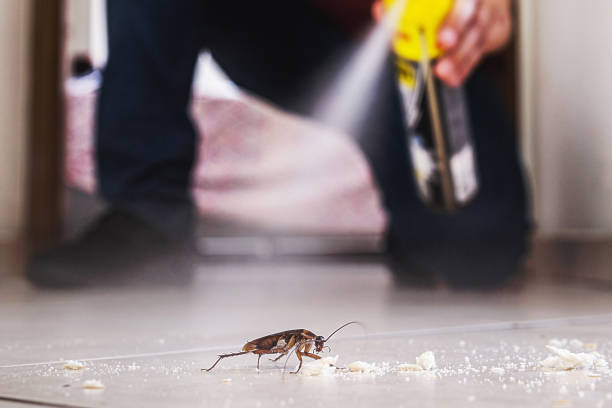 Best Pest Control for Restaurants  in Redwood City, CA