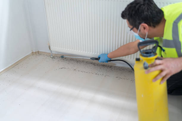 Best Residential Pest Control  in Redwood City, CA