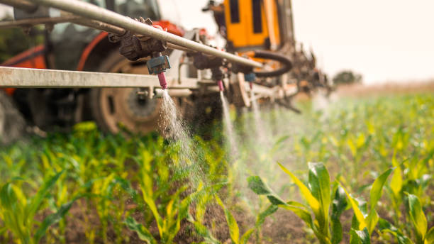 Best Mosquito Control Services  in Redwood City, CA